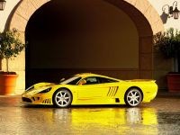  Saleen   .    Saleen