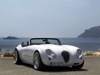    .    Wiesmann