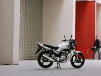    .   Yamaha