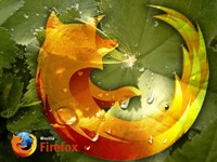 Mozilla Firefox