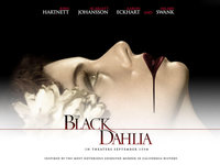  , Black Dahlia