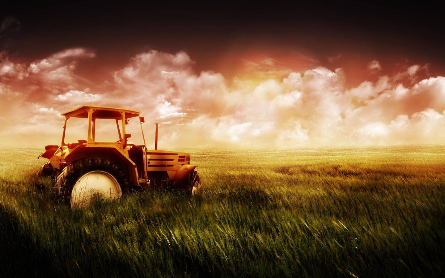 трактор в поле 
