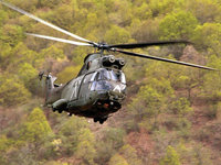 Вертолет летит над лесом