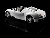 Машина Bugatti на классной фотообои. Обои с автомобилями Bugatti