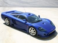     .    Saleen