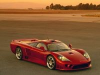   Saleen  