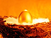 Золотое яйцо в гнезде