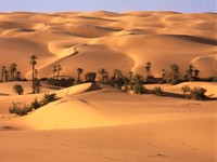Фото 7.. Обои с природой для рабочего стола: обои с пустыней и песками