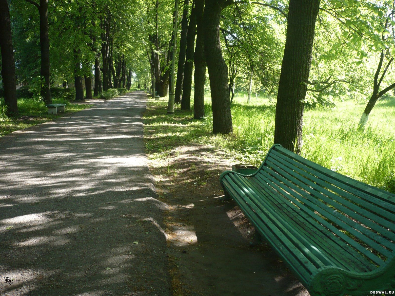 Скамейка в парке летом