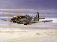   P-51
