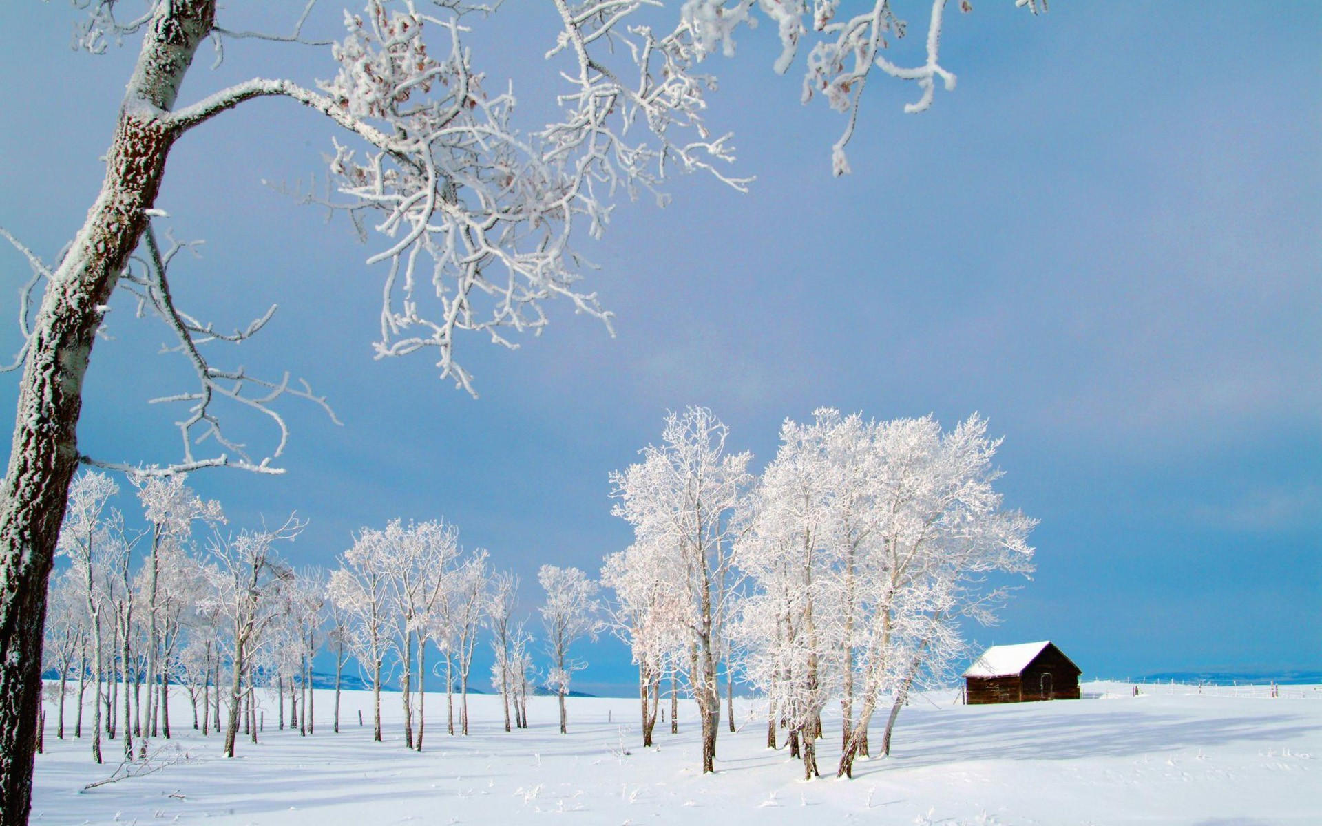 Хай зима. Зимний пейзаж. Зимняя природа. Январский пейзаж. Снежный пейзаж.