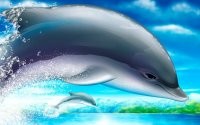 Рисованные дельфины